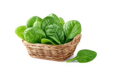 fresh spinach leaves in a small wicker basket on a white background
