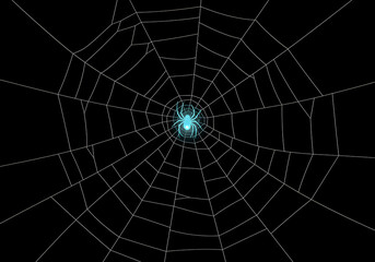 Obraz premium Glow spider on web with transparent background illustration