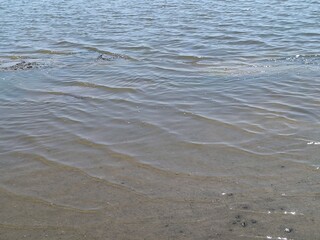 waves on the beach. estuary water