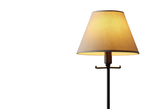 Elegant Home Interior Lighting with Floor Lamp on Black Backdrop Design And Interior Decor Ideas 100