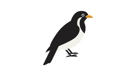 Naklejka premium Stylized vector illustration of a Black-and-white bird on a clean white background