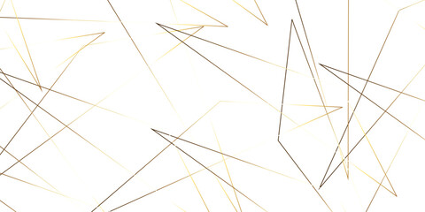 Triangular 3d, modern background Modern geometrical dynamic and seamless abstract white background. Random chaotic lines abstract geometric pattern. .graphic background dots with connections for your