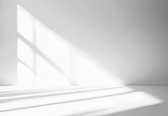 Obraz premium Realistic Window Shadow on Transparent Background 