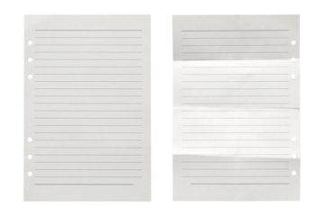 set of blank lined paper sheets,Crumpled blank lined paper notebook paper isolated on transparent background,note paper message office business tag sign	
