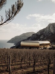 Aerial view of modern architecture overlooking coastal vineyards serene landscape photography in natural environment