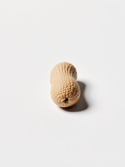Peanut harvesting process farm food photography natural setting close-up nutritional value