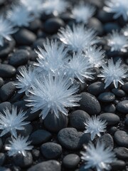 Frosty crystal growth rocky terrain nature photography cold environment close-up view beauty of winter