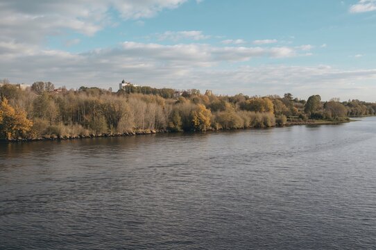Riverside Autumn Scenery with Trees and Flora