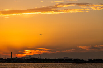idyllic seascape with a flying seagull in dusk after sunset