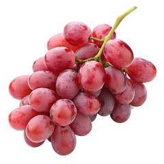 Fresh red seedless grapes cluster isolated on white for healthy eating and nutrition background