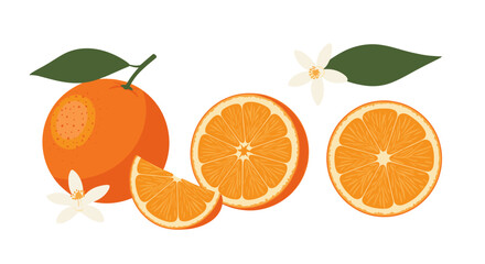 Fresh ripe oranges with leaves and flowers showing the zest and juice for healthy refreshment