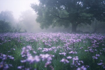 Naklejka premium Misty atmosphere surrounding stunning purple blossoms, greenery, and forest scenery in springtime