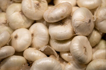 White onion bulbs scattered on a store counter