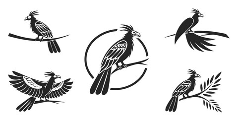 Fototapeta premium Stylized Black Bird Illustrations Collection.