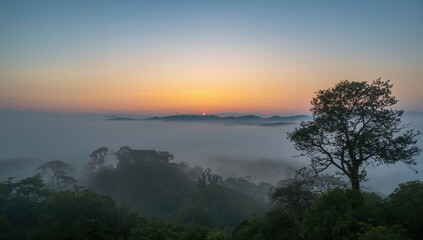 Fototapeta premium Mist enveloping the landscape in Southeast Asia