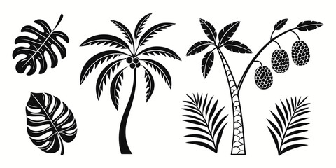 Tropical Palm Trees and Monstera Leaves Silhouette Collection.