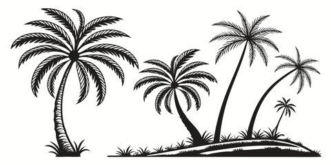Tropical Palm Trees Silhouette Illustration.
