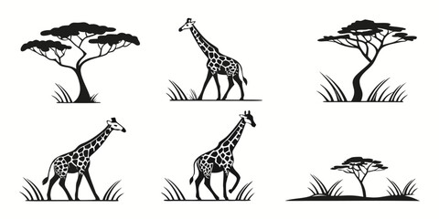 African Savannah Giraffes and Acacia Trees Silhouette Collection.