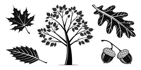 Autumn Tree and Leaves Silhouette Collection.