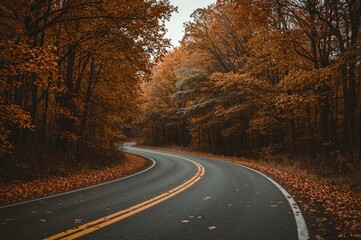 Obraz premium Curving path through fall foliage