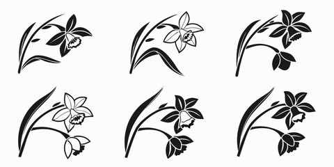 Black and White Daffodil Flower Silhouettes Collection.