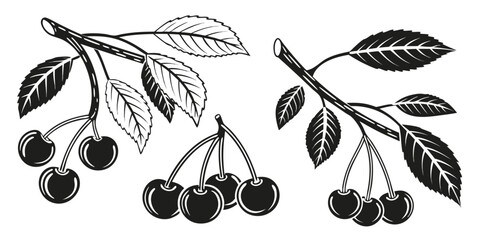 Black and White Cherry Branches with Leaves.