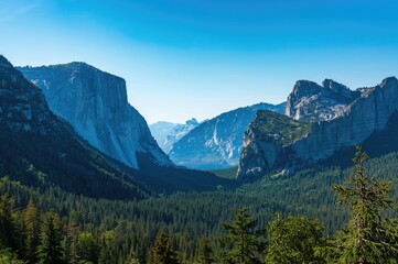 Obraz premium Scenic mountain panorama with lush green forest and summer vibes