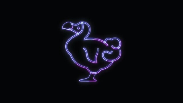  Dodo Animal Icon Neon Seamless Loop 4K with Black Background Animated Promotional Typography for Video Editing