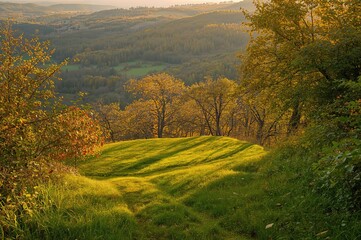 Obraz premium Sunlit trail through a fall woodland
