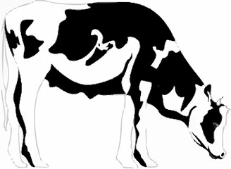Isolated cute cow silhouette.eps