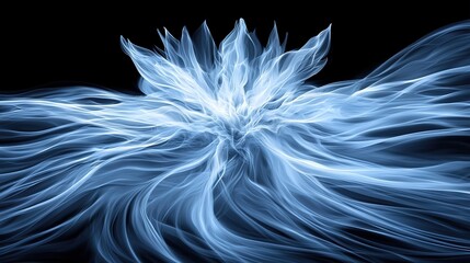  Blue flower on black background with white flower on the right side