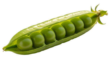 Fresh Green Pea Pod Open with Peas on Transparent Background