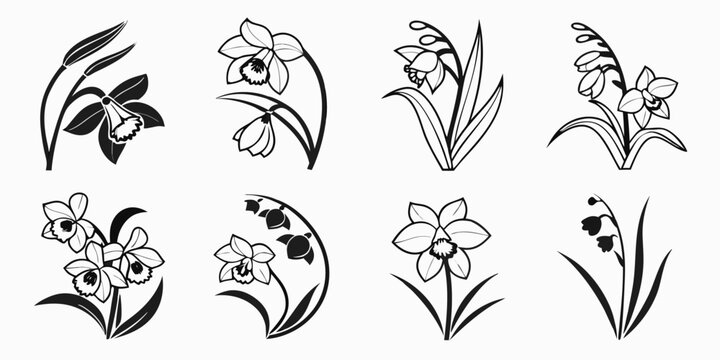 Collection of Stylized Daffodil and Lily of the Valley Illustrations