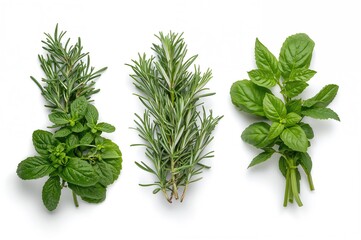 Obraz premium Assortment of fresh culinary herbs against a plain white backdrop