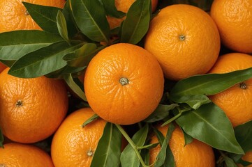 Top-down view of fresh oranges with green leaves as backdrop