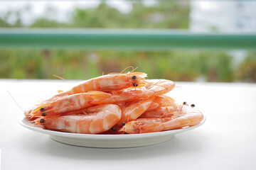 Boiled Langoustines on Outdoor Table