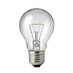 Clear incandescent light bulb (2)
