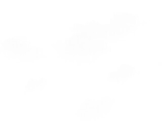 Abstract grayscale cloud-like shapes against a transparent background