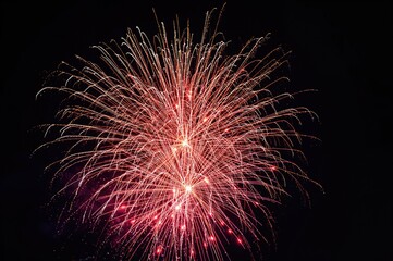 Nighttime fireworks display for celebration