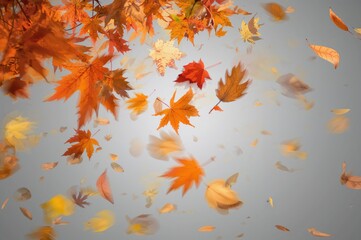 Autumn leaves swirling in the breeze against a neutral backdrop