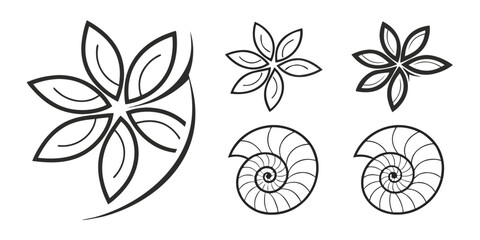 Abstract Floral and Nautilus Shell Designs