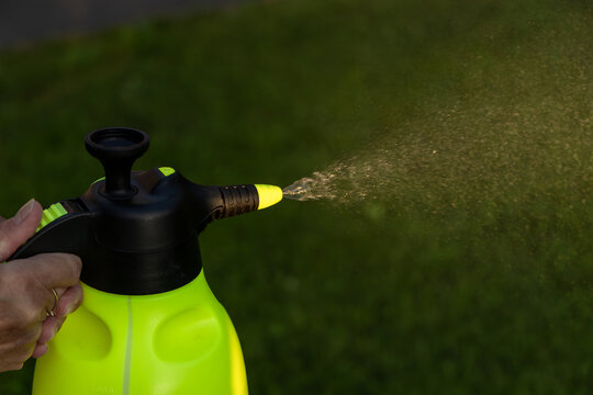 Spraying plant protection preparation in the garden, woman spraying lawn with fertilizer, yellow container