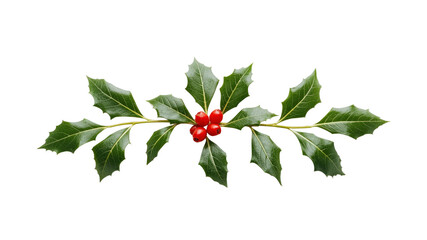 Festive Holly Sprig with Red Berries - Christmas Decoration