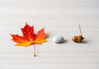 Minimalist autumn composition. Ideal for creating holiday and seasonal designs, blogs and promotional materials.