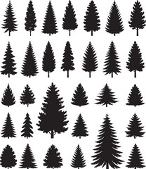 Obraz premium Pine tree silhouette collection on white background.Spruce tree silhouette set on white background