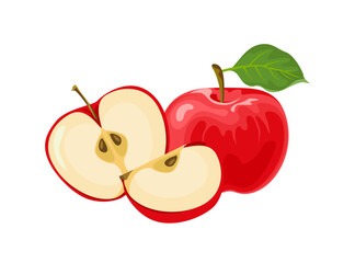 Apples isolated on white background. Vector cartoon illustration of fresh fruits.