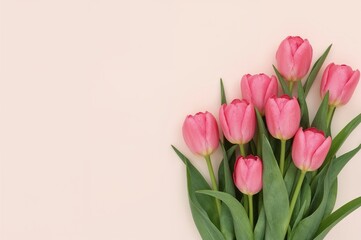 Floral backdrop with pink tulips on a neutral canvas and ample space for text. Spring floral design for posters.