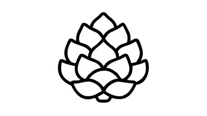 vector illustration of a pine cone