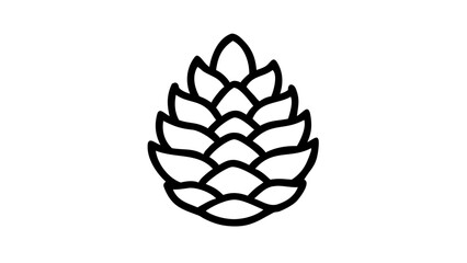 vector illustration of a pine cone