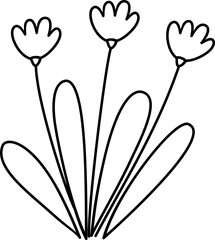 hand drawn flower, hand drawn plant with flower